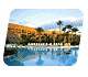 Vacation Packages